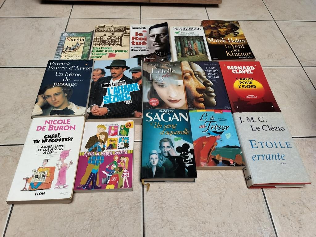 Livre 2€ pièce, Boeken, Ophalen of Verzenden, Gelezen