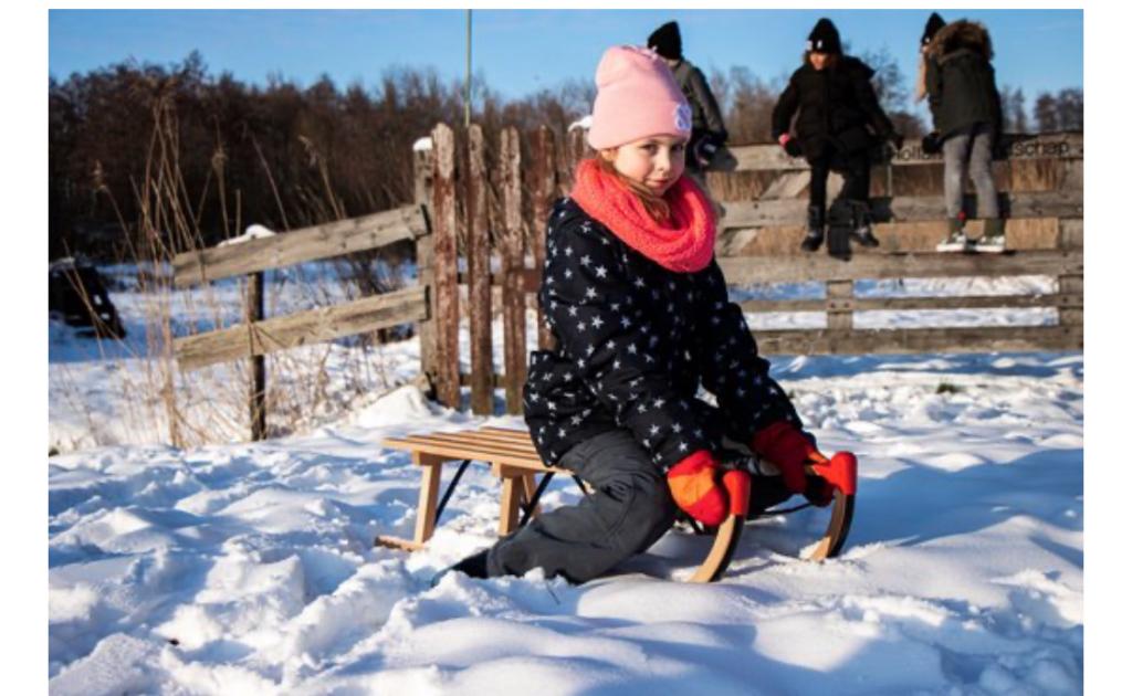 Sneeuw slee, Enlèvement ou Envoi, Neuf, Bois