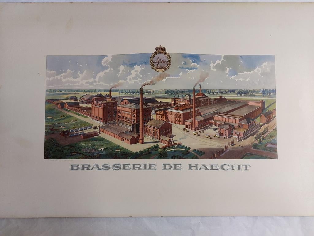 Lito brouwerij Haacht 100x64. 0486 215927, Verzamelen, Ophalen