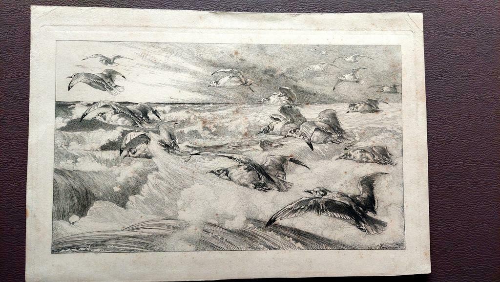 Zoldervondst.  Mooie pentekening vogels met handtekening, Antiek en Kunst, Kunst | Etsen en Gravures, Ophalen of Verzenden
