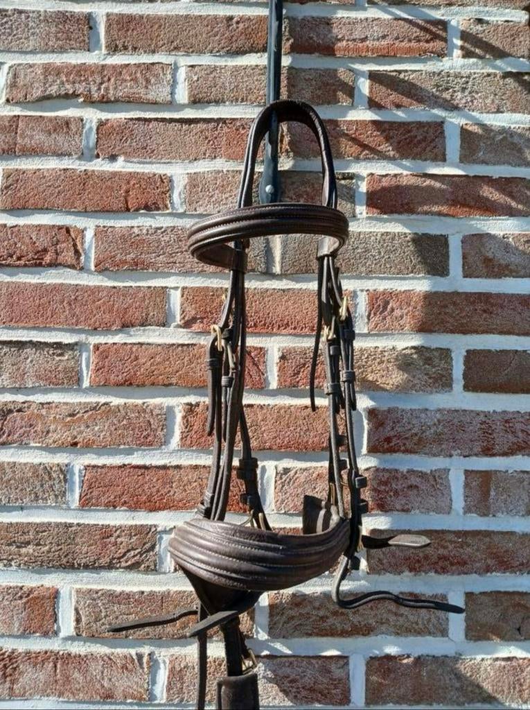 Bride dressage Euroriding, Enlèvement ou Envoi, Utilisé, Dressage