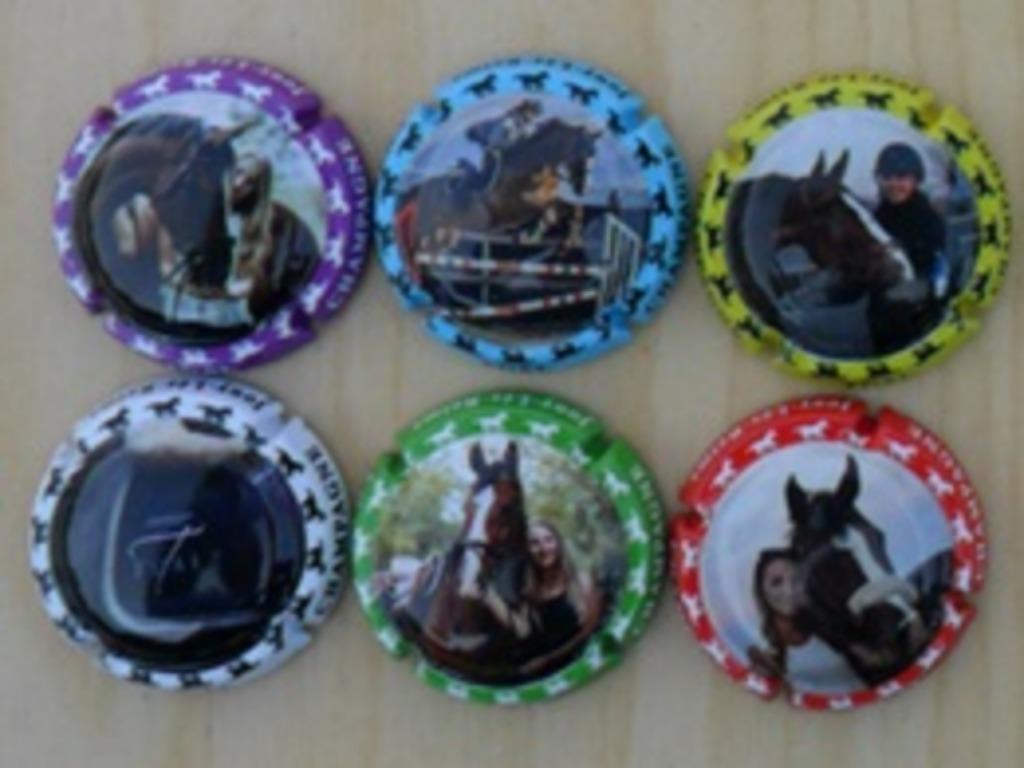 Champagne capsules - Tual A1 Cheval (L 7895), Envoi