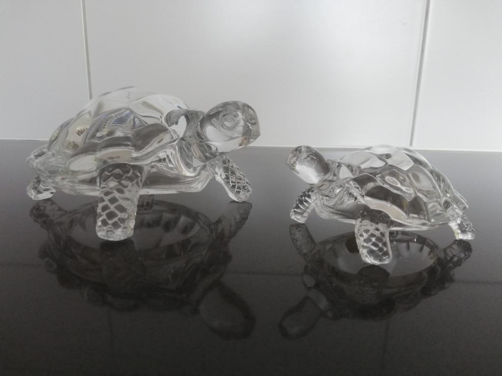 Tortues Cristal d'Arques France, Enlèvement ou Envoi