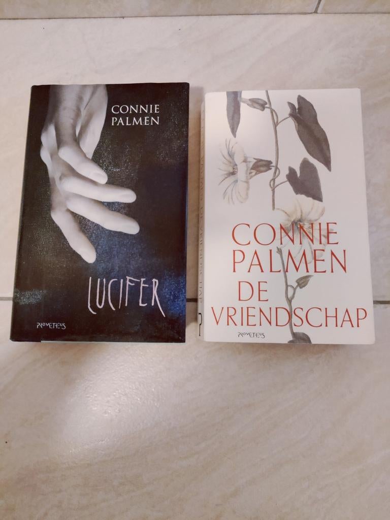 Connie Palmen - De vriendschap, Ophalen of Verzenden, Zo goed als nieuw, Connie Palmen