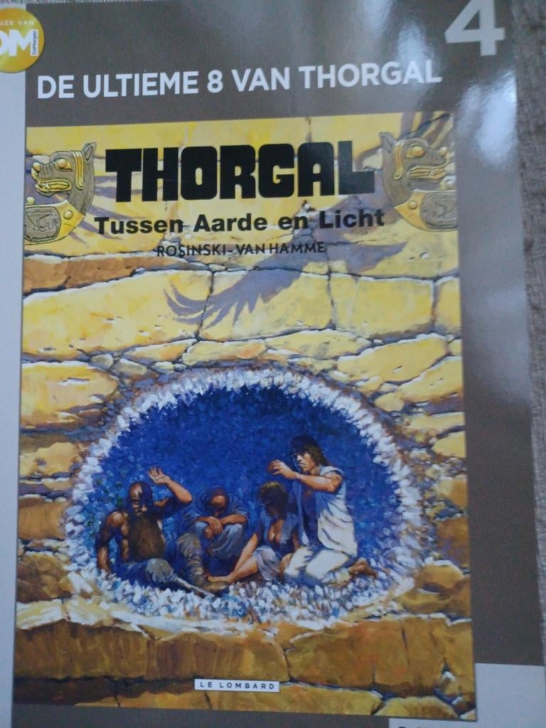 Thorgal entre Terre et lumière Rosinsky et Van Ham, Enlèvement