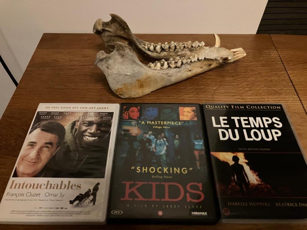 kids / le temps du loup / les intouchables 8euro per dvd, Cd's en Dvd's, Ophalen of Verzenden