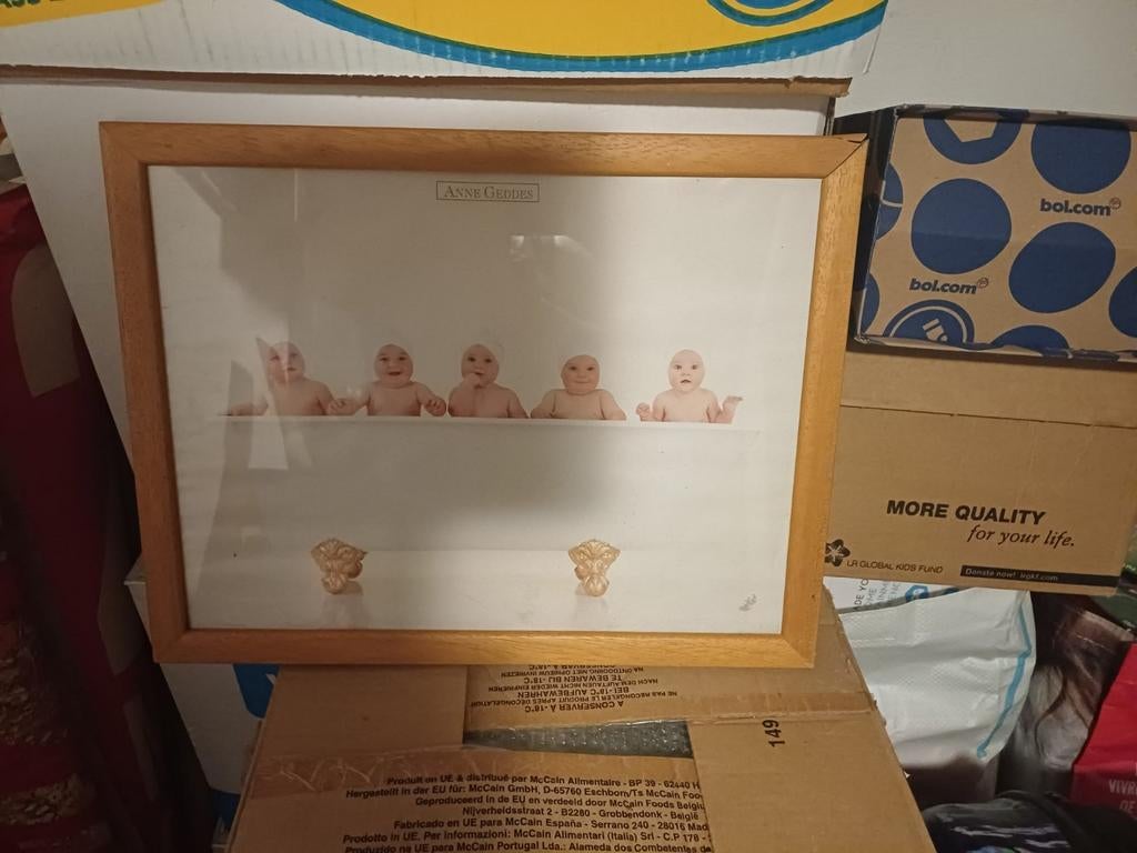 Anne geddes ingekaderde prent, Verzamelen, Poppen, Ophalen