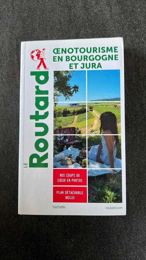 Routard Oenotourisme en Bourgogne et Jura (2020), Boeken, Reisgidsen, Ophalen of Verzenden, Gelezen