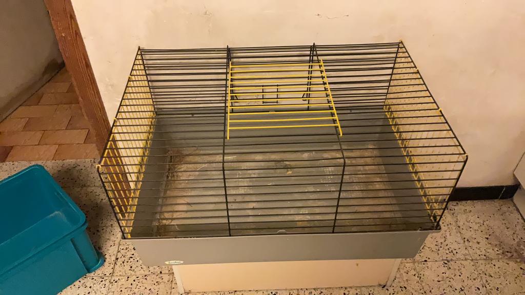 Cage à rongeurs, Enlèvement, Comme neuf, Cage