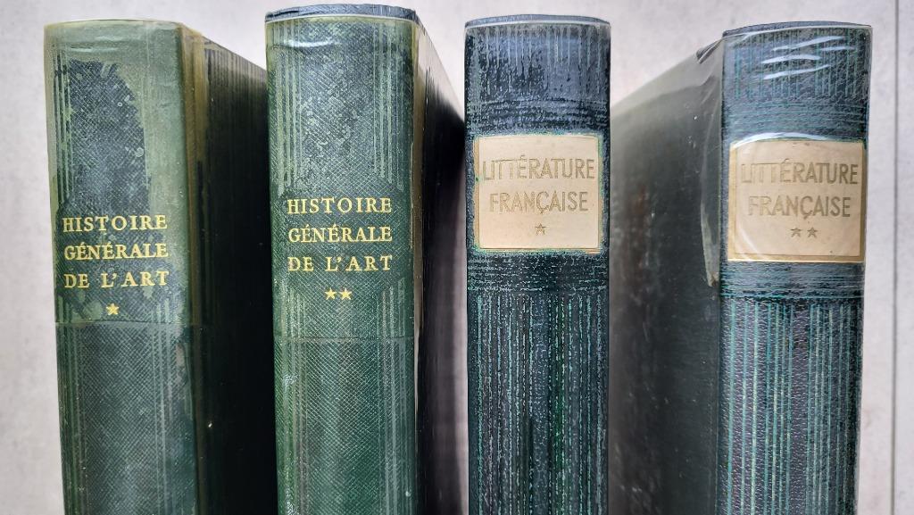 Livre Histoire de l'Art 1950 - Littérature française 1948, Enlèvement ou Envoi, Utilisé