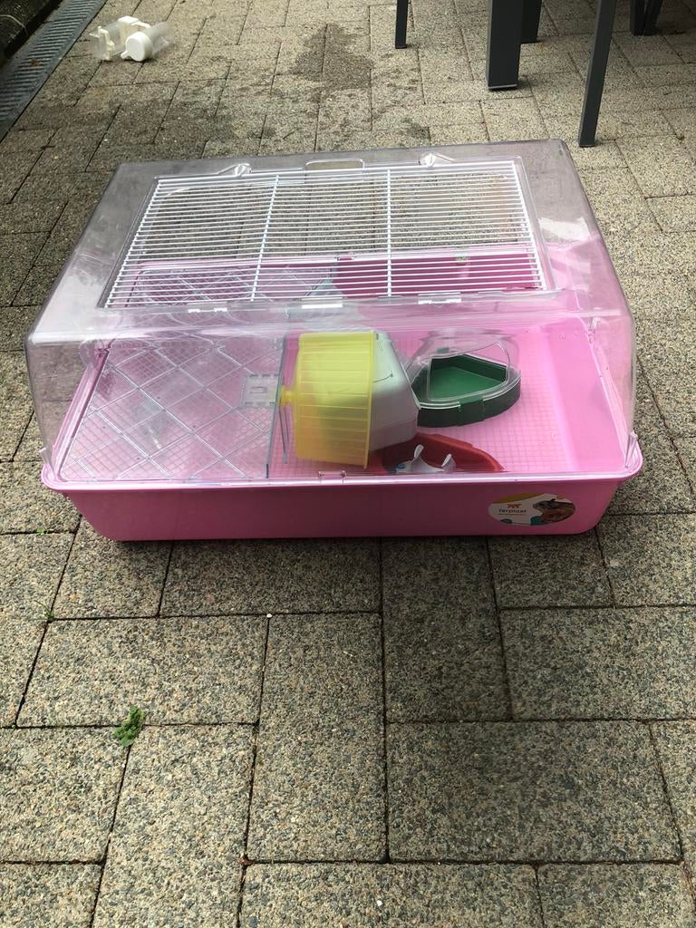 Cage à hamster, Moins de 60 cm, Cage, Utilisé, Hamster
