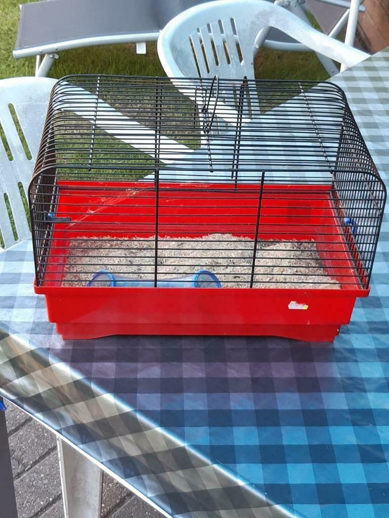 kooitje voor muisje of hamster., Kooi, Gebruikt, Minder dan 75 cm, Muis
