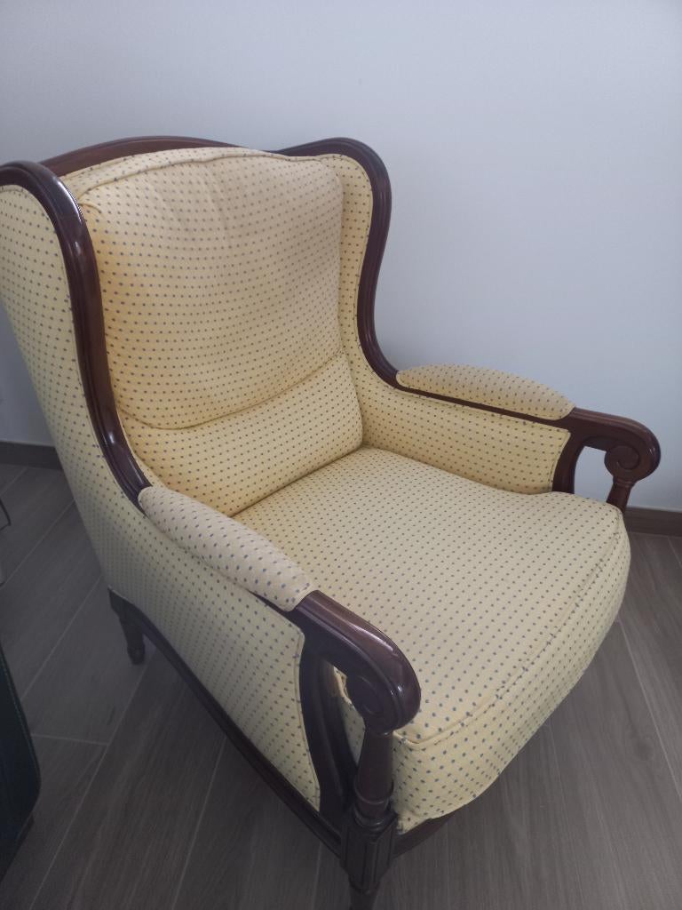 Fauteuil Jean Roche, Enlèvement, Utilisé, Tissus