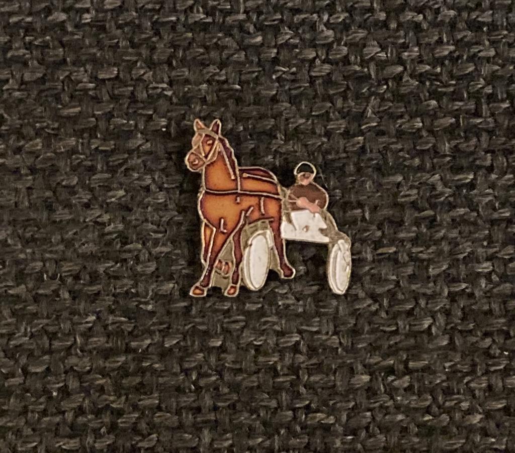 PIN - PAARDENKOERS - COURSE A CHEVAL, Envoi, Utilisé, Sport, Insigne ou Pin's