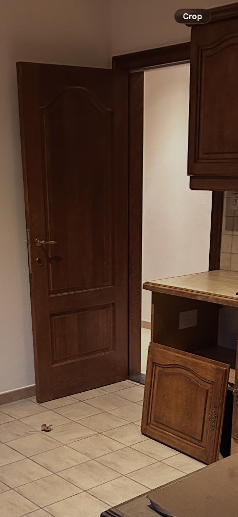 Gratis binnendeuren, Ophalen, Gebruikt, Hout, Binnendeur