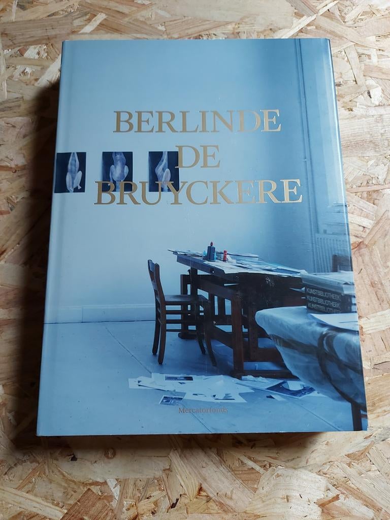 Emmanuel Alloa - Berlinde de Bruyckere, Boeken, Kunst en Cultuur | Beeldend, Gelezen, Emmanuel Alloa; Gary Carrion-Murayari; J.M. Coetzee; Caroline...