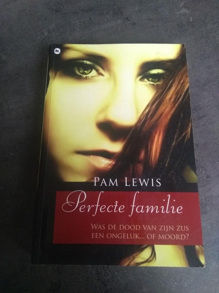 Perfecte familie, Livres, Thrillers, Utilisé, Enlèvement ou Envoi