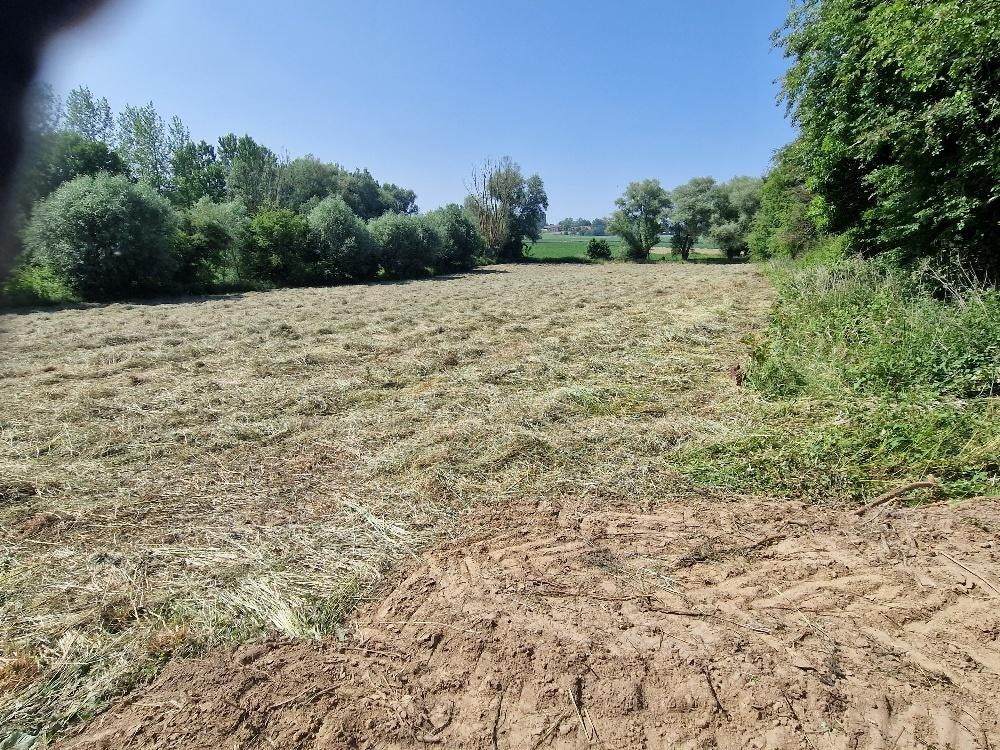 Weiland van 1,6 ha te huur in Ghoy