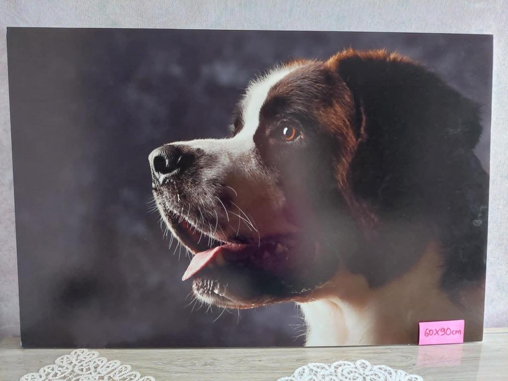 Grote foto, Ophalen, Zo goed als nieuw