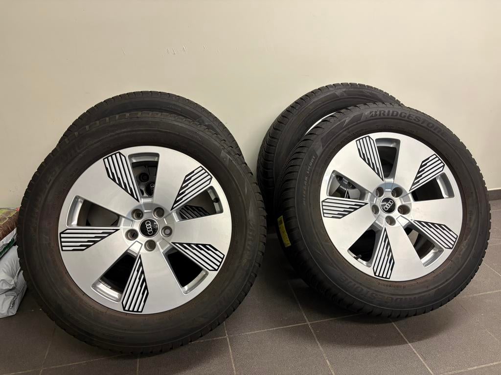 Originele 19" velgen met nieuwe winterbanden., 255 mm, Nieuw, Winterbanden, Band(en)