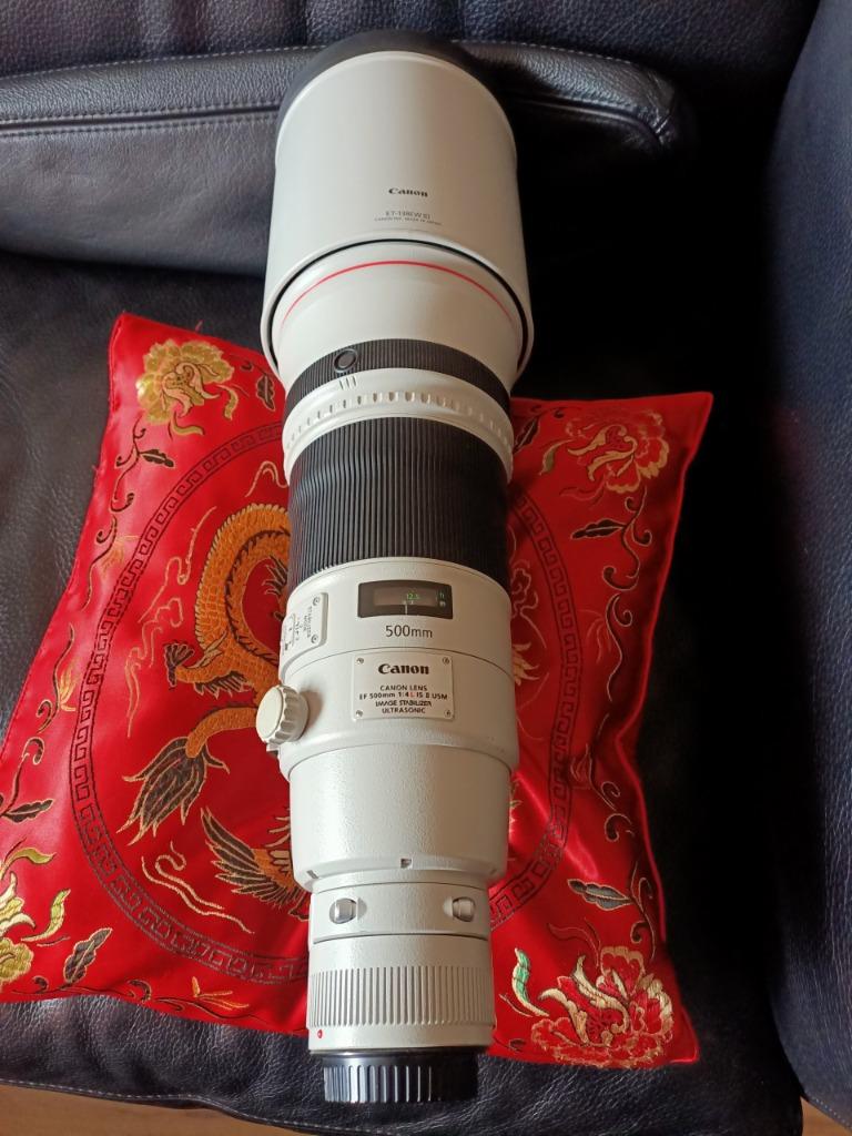 Canon EF 800mm 600mm IS 500mm IS II 400mm 2.8 IS II 300mm, Audio, Tv en Foto, Foto | Lenzen en Objectieven, Ophalen of Verzenden