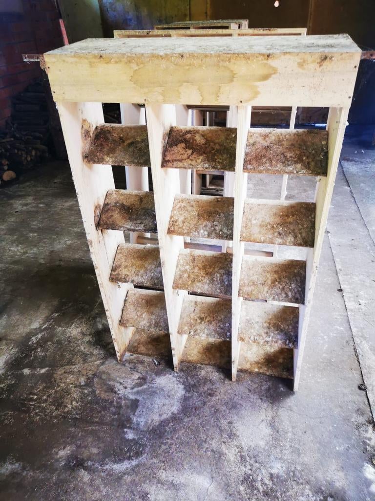 Duivinnen zitjes 2 stuks, Dieren en Toebehoren