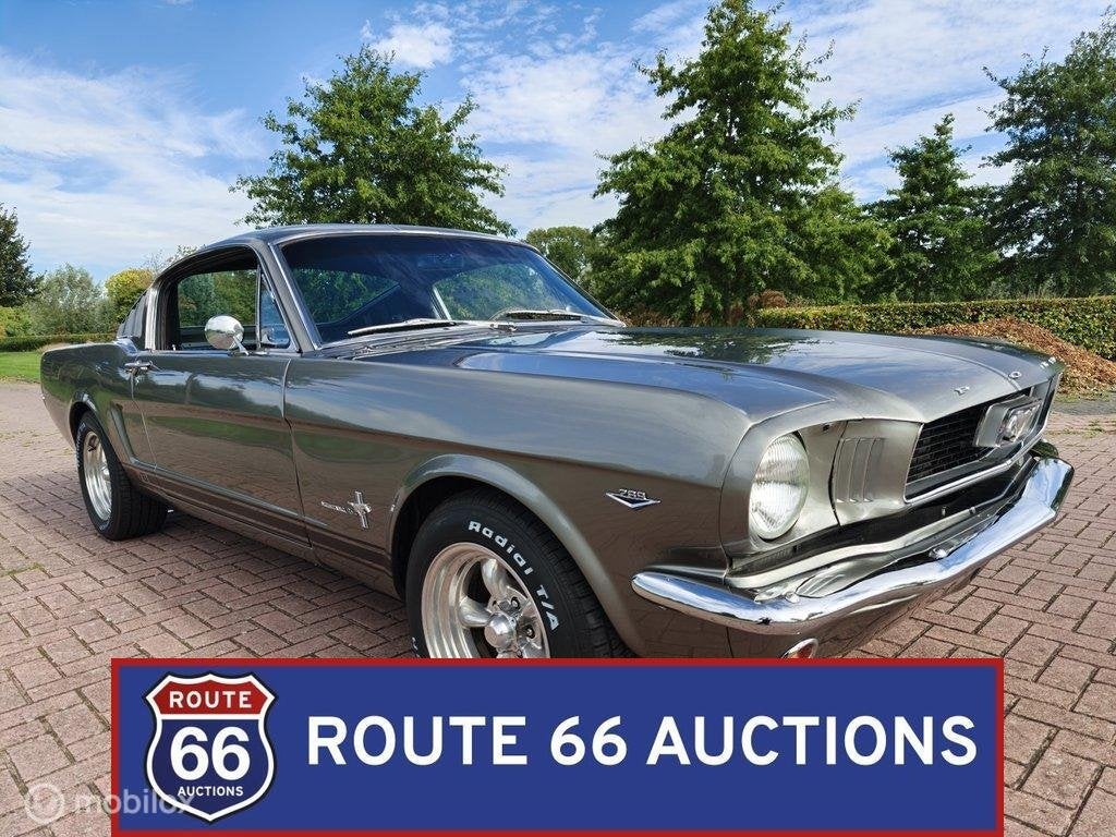 Ford Mustang Fastback C-Code | 1966 | Route 66 Auctions, Achat, Entreprise, Boîte manuelle, Autre carrosserie
