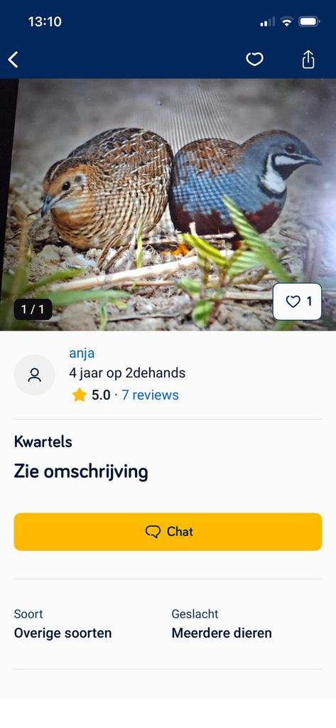 Japanse kwartel, Dieren en Toebehoren