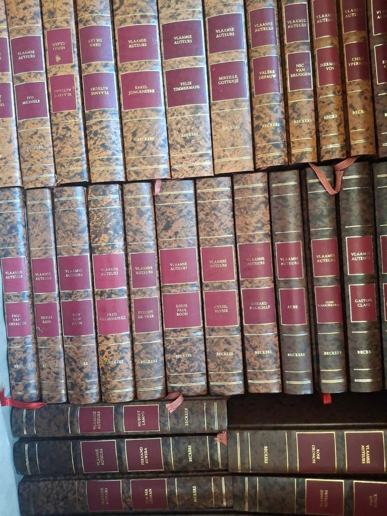 Beckers Vlaamse auteurs 38 stuks, Ophalen