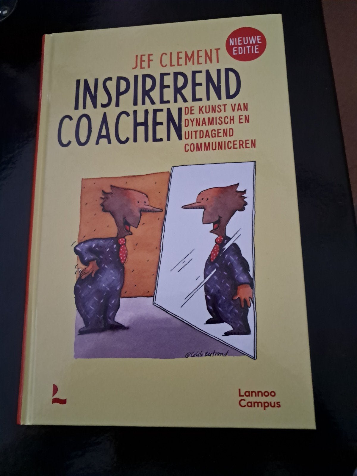 Jef Clement - Inspirerend coachen, Boeken, Ophalen of Verzenden, Jef Clement