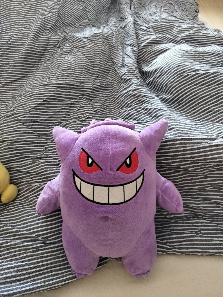 4 officiële Pokémon knuffels, Pokémon, Ophalen, Zo goed als nieuw, Middelgroot (20 tot 80 cm)