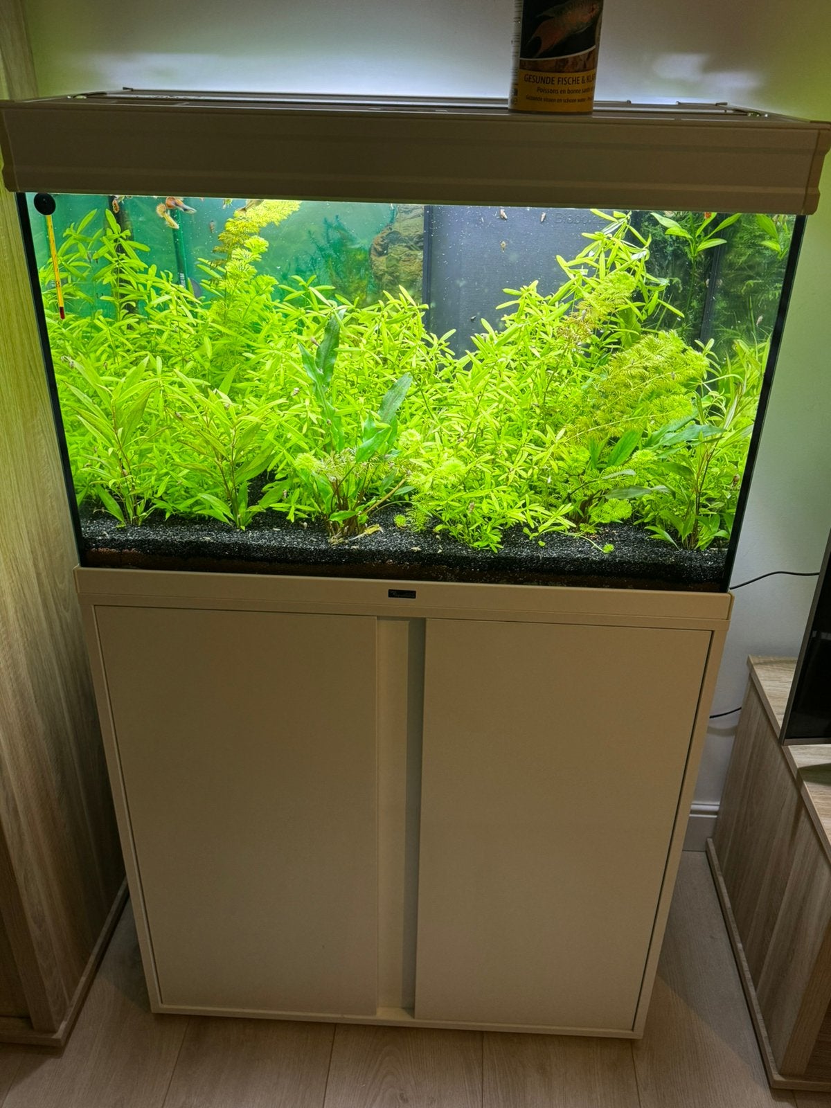 Aqulantis aquaruim, Aquatlantis, Utilisé, Filter, Enlèvement