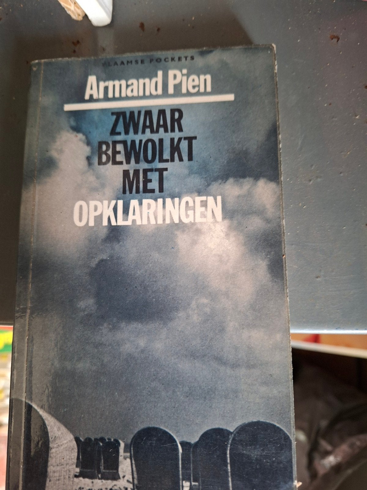 armand pien, Boeken, Ophalen of Verzenden