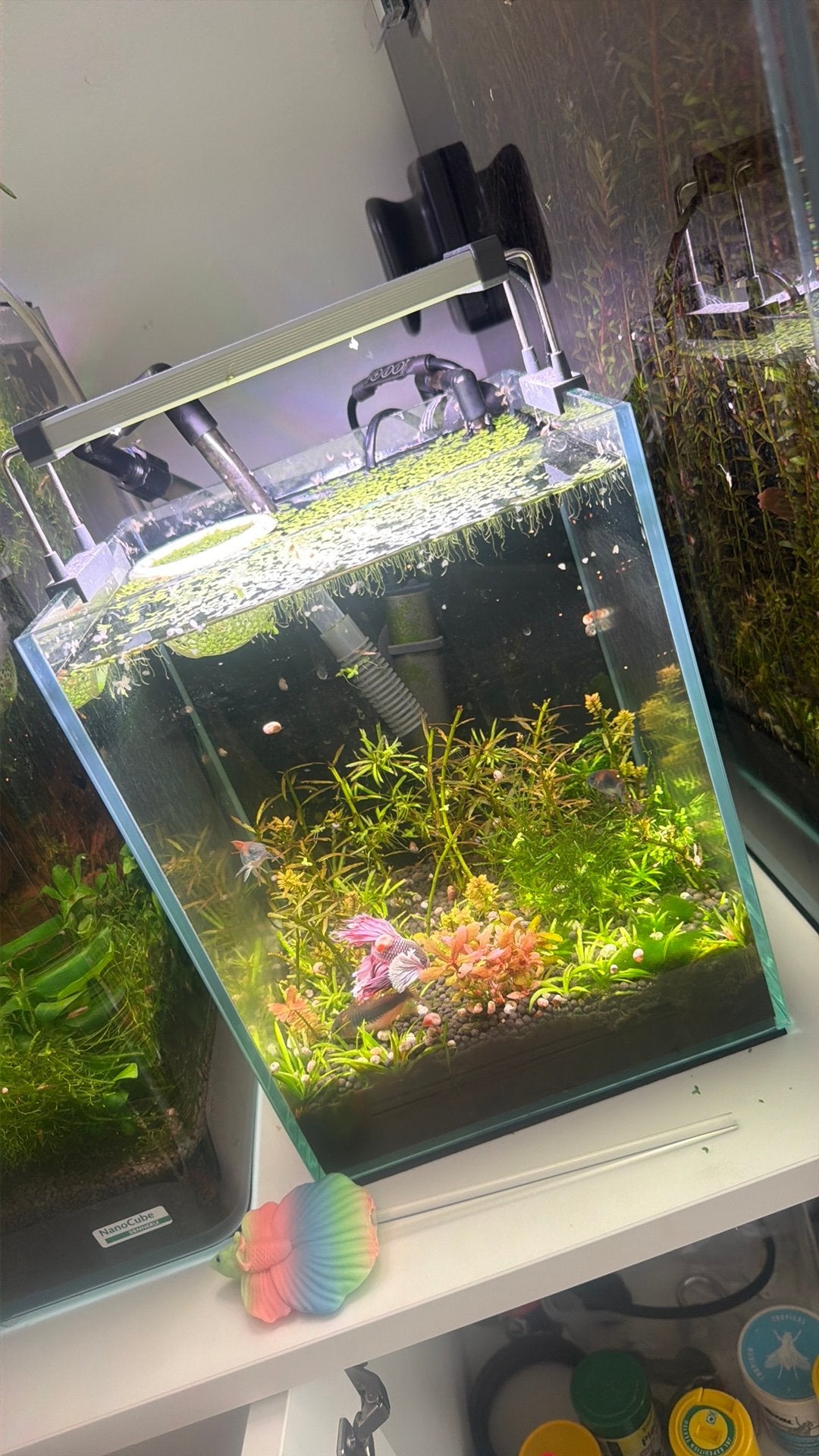 Nano aquarium 10l avec chihiros b 20cm, Enlèvement, Pompe, Comme neuf, Chihiros