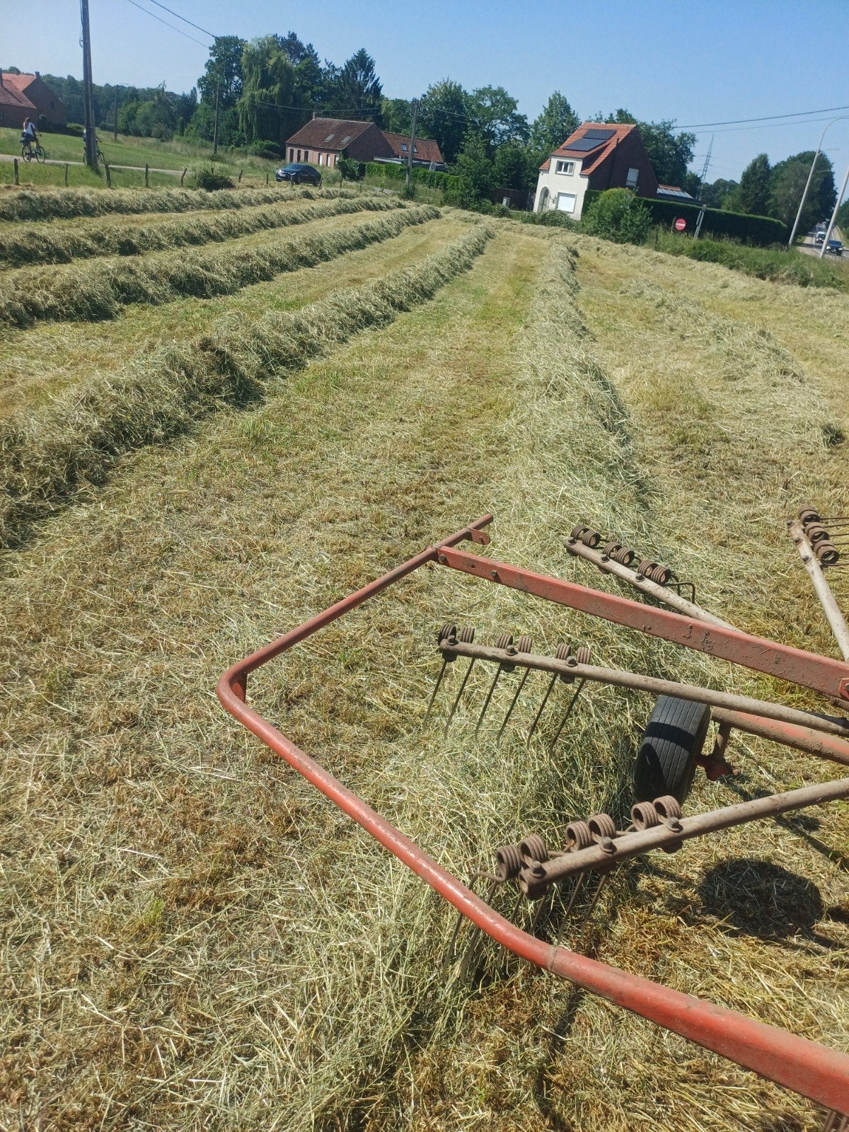 Kleine pakjes hooi, Zakelijke goederen, Landbouw | Veevoer, Ophalen