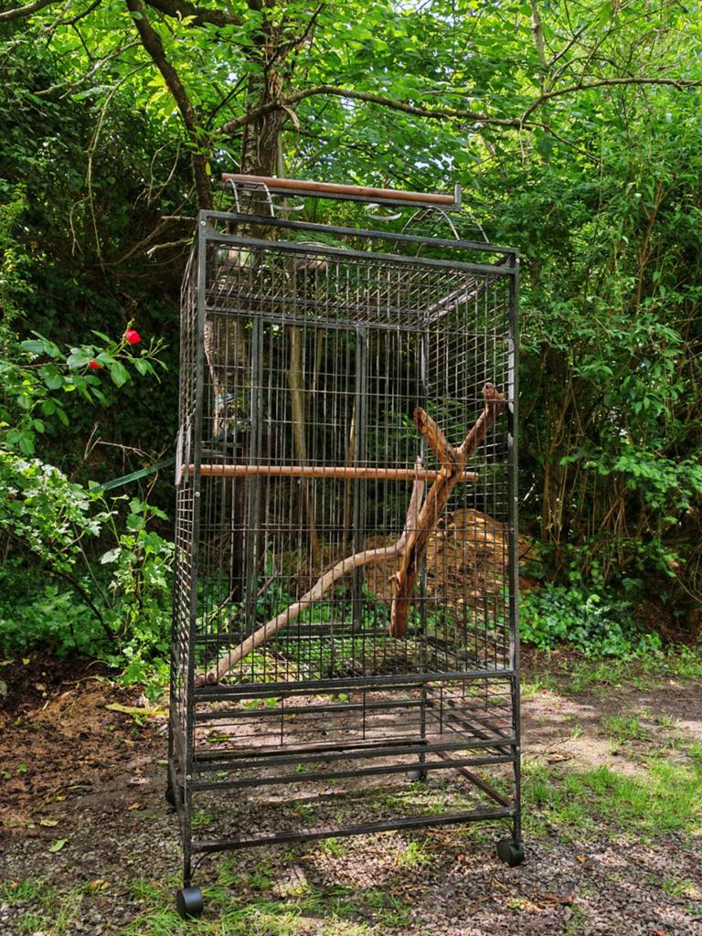 VADIGRAN Evita 2 grote papegaaienkooi (Jardiland), Dieren en Toebehoren, Vogels | Hokken en Kooien, Ophalen, Gebruikt, Metaal