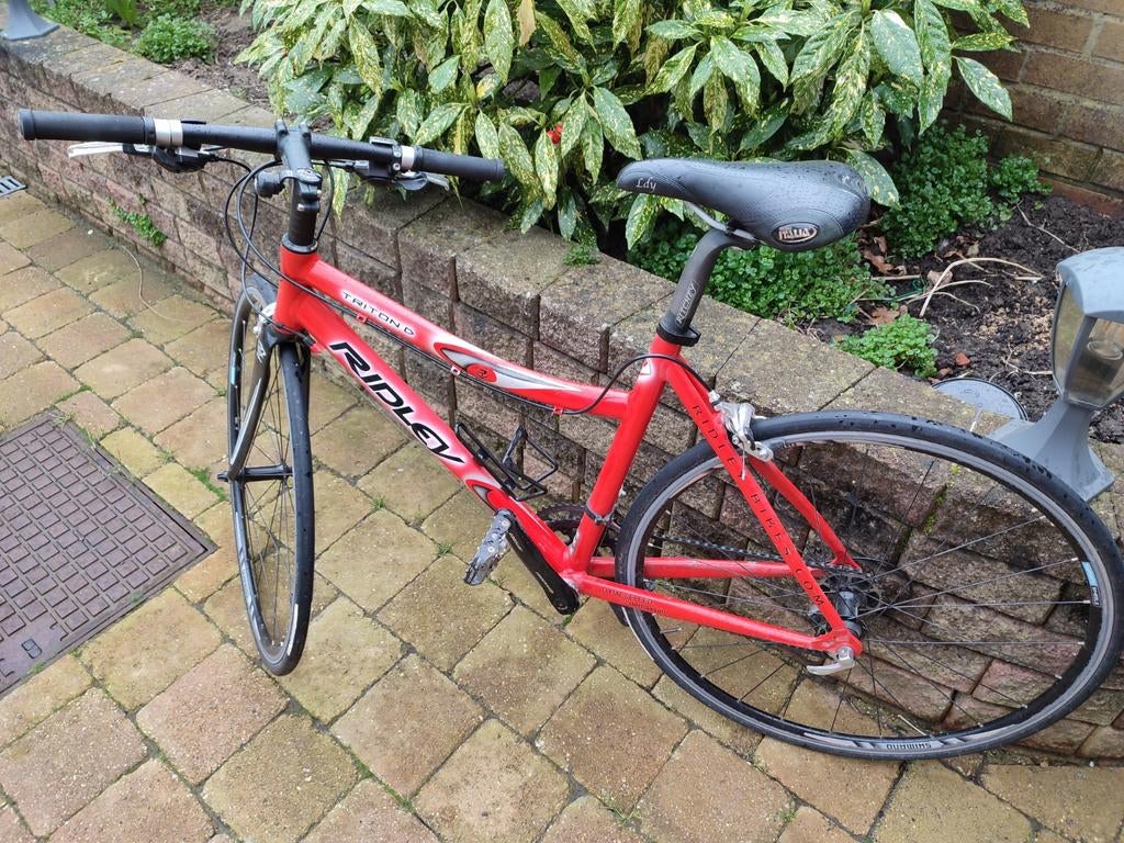 Fiets Ridley, Fietsen en Brommers, Fietsen | Dames | Sportfietsen en Toerfietsen, Ophalen