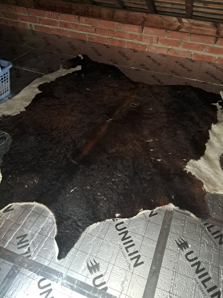 Koeievel - 2 m op 2m 30 - Mooie staat, Ophalen, Gebruikt, 200 cm of meer, 200 cm of meer