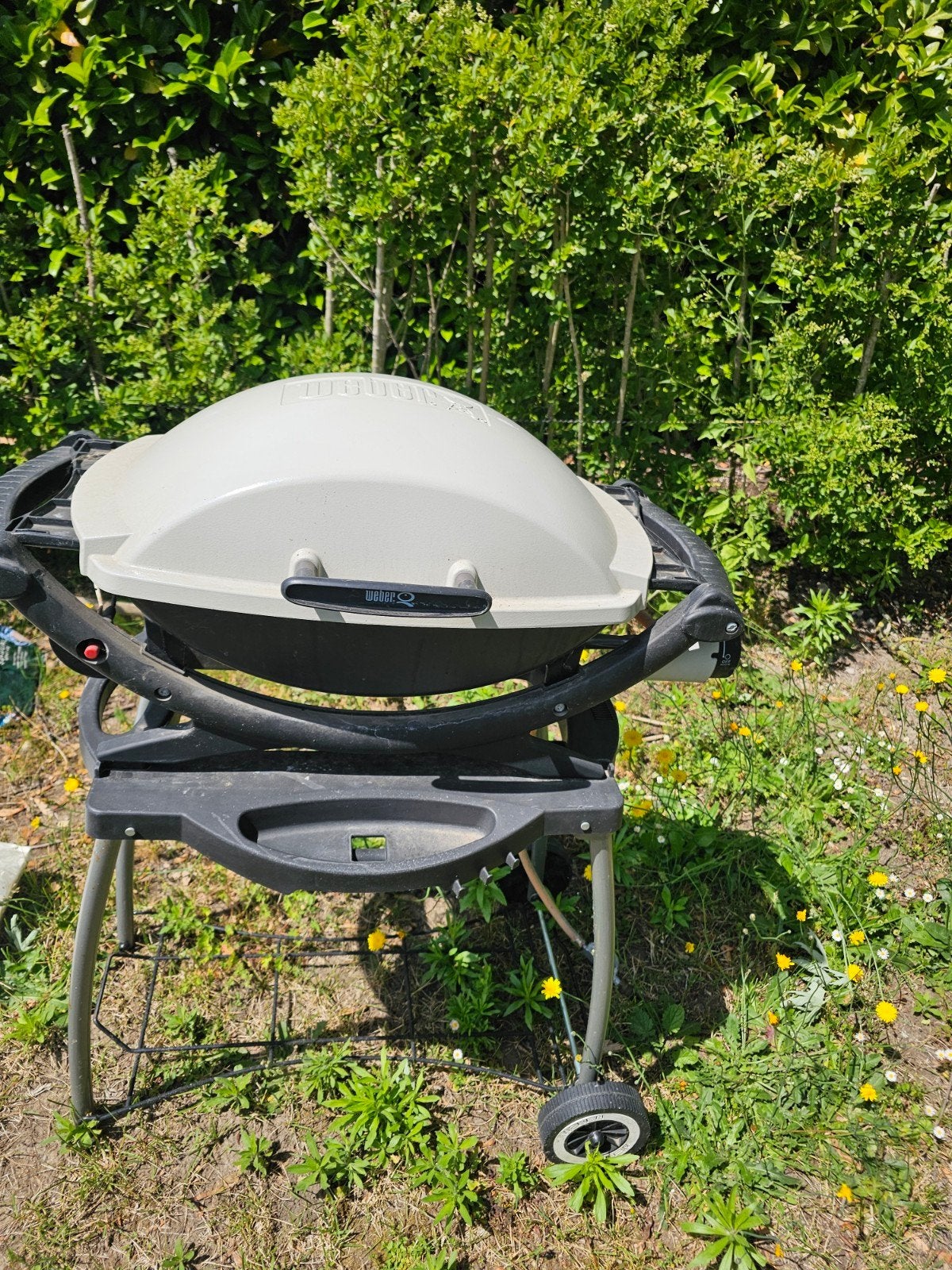 bbq webber op gas, Ophalen of Verzenden