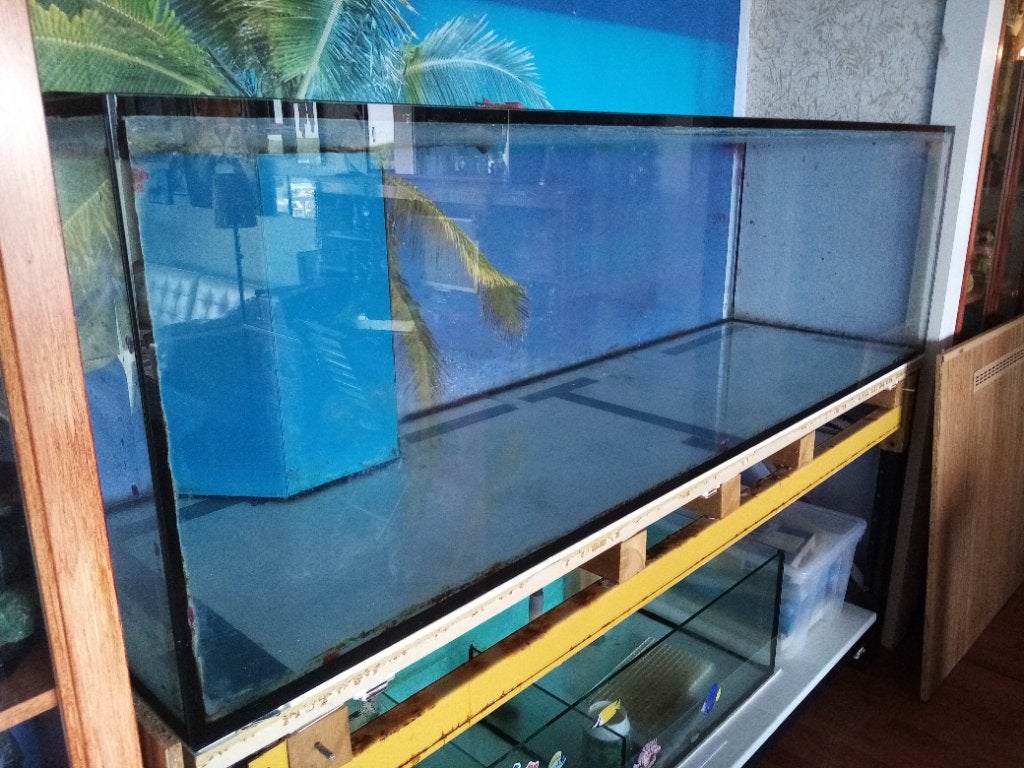Aquarium, zeeaquarium, Dieren en Toebehoren, Ophalen