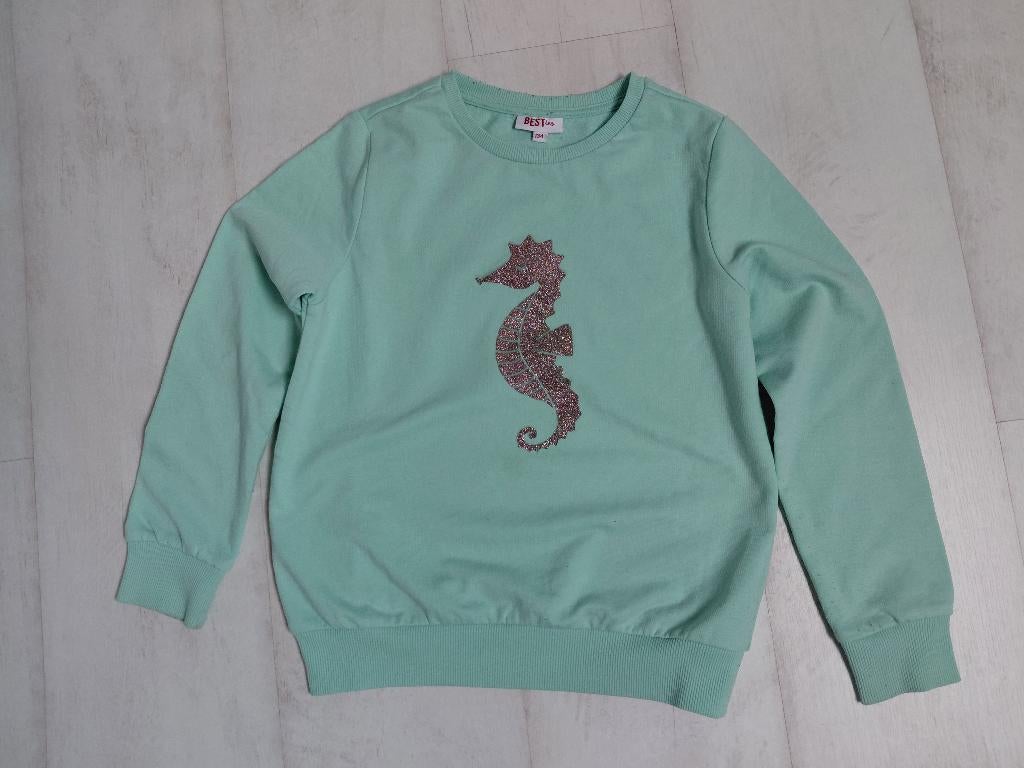 2 sweaters meisje maat 9-10 jaar, Kinderen en Baby's, Kinderkleding | Maat 134, Gebruikt, Meisje, Trui of Vest, JBC