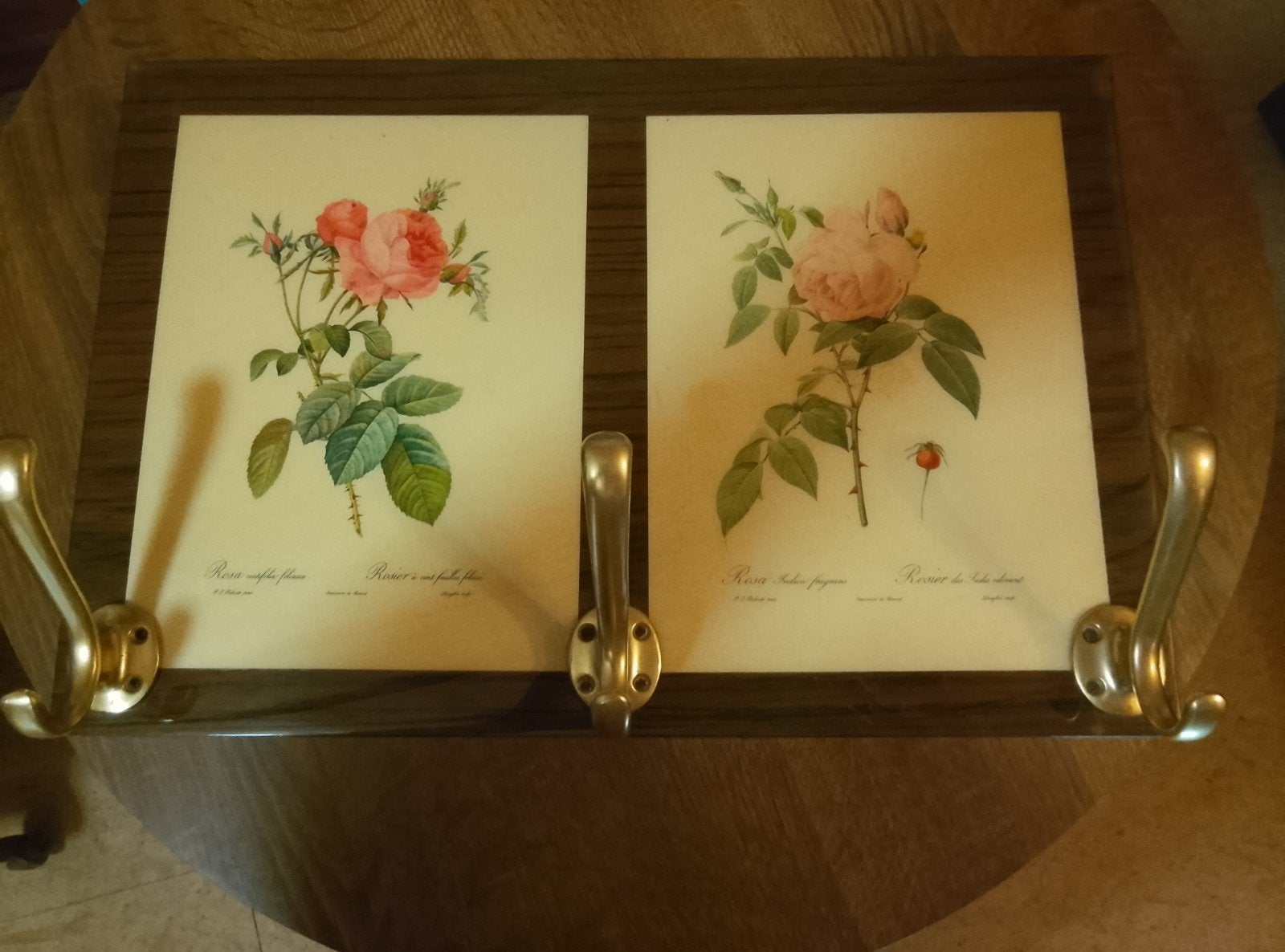vintage kapstok, Antiek en Kunst, Curiosa en Brocante, Ophalen