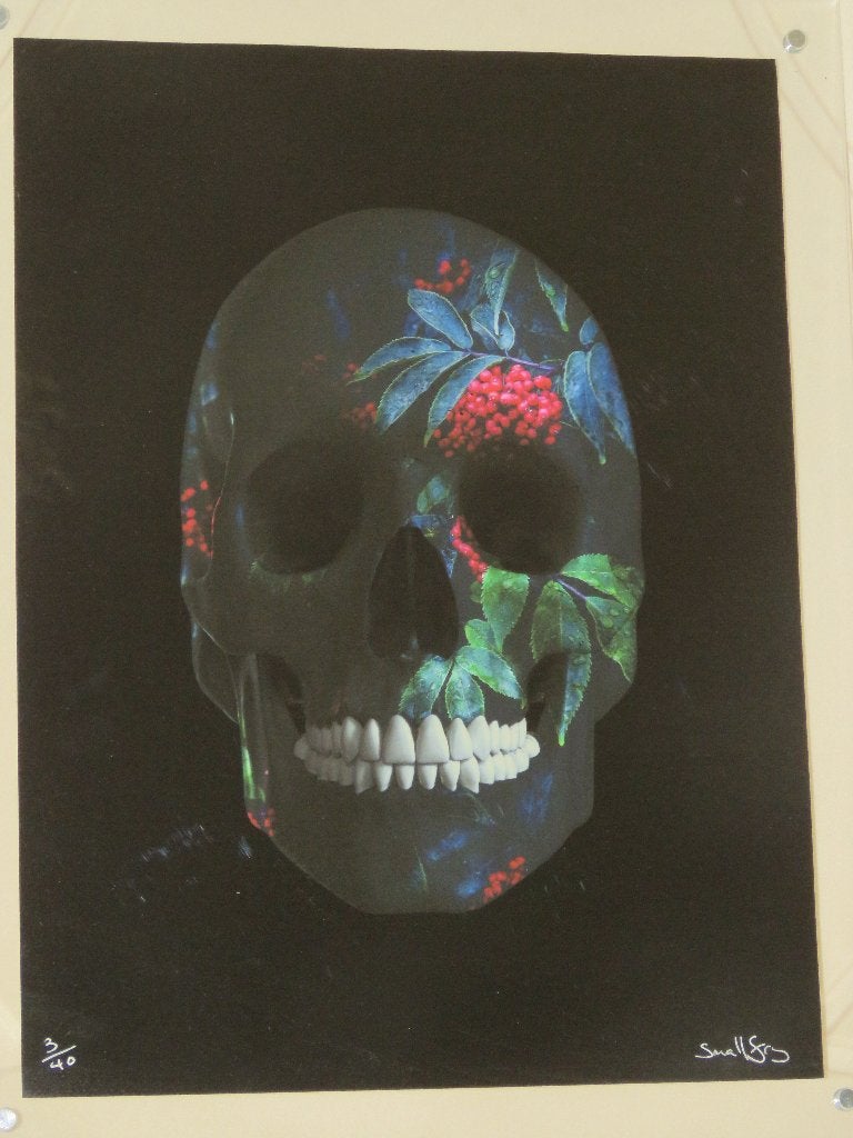 Giclee Small Fry If Nature Had A Face Nr 03/40, Gelimiteerde oplage, Ophalen of Verzenden, Giclee