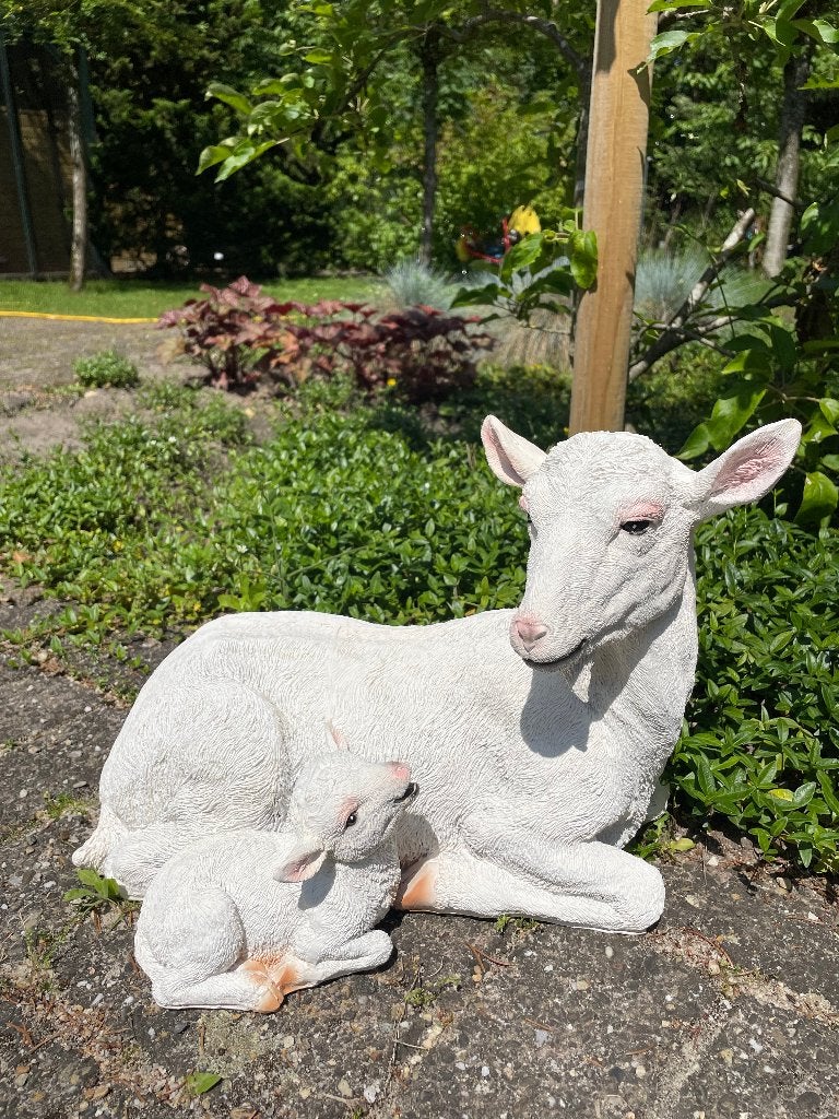 Geit liggend met lammetje  tuin, gazon, boerderij 40cm, Tuin en Terras, Tuinbeelden, Ophalen, Nieuw, Kunststof, Dierenbeeld
