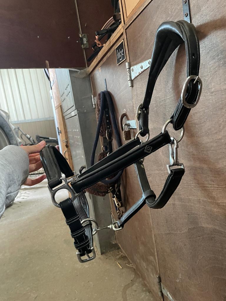 Halster : COB Leather Headcollar Black, Ophalen of Verzenden