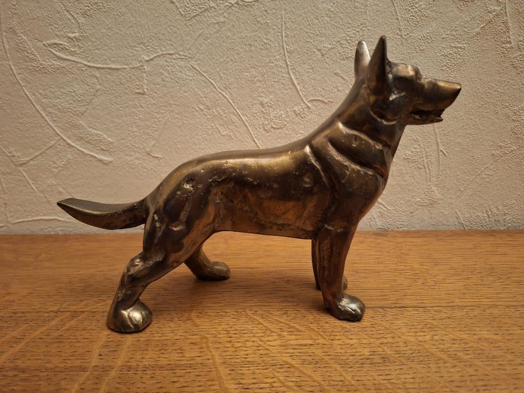 Messing herdershond 25x17x6 1, Ophalen