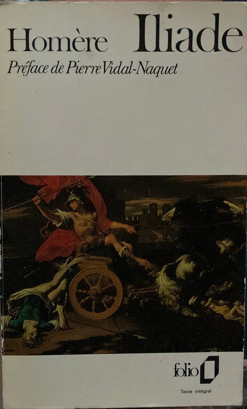 Homère Iliade, Boeken, Literatuur, Ophalen of Verzenden, Zo goed als nieuw
