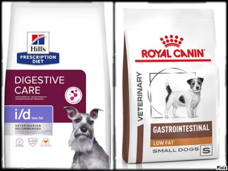 Croquettes pour chien Hill's et Royal Canin MOINS CHER, Animaux & Accessoires, Enlèvement ou Envoi, Chien