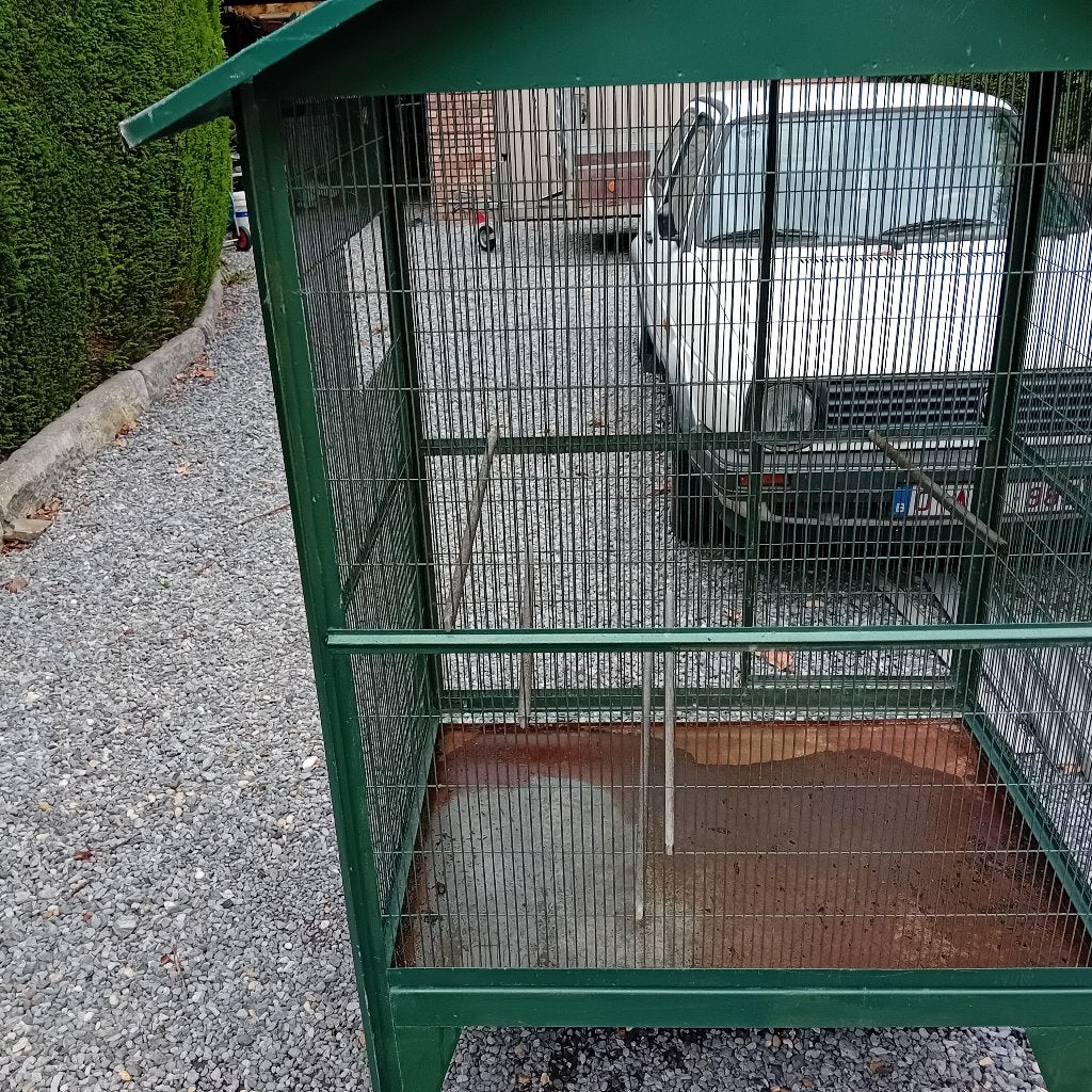 Vogelkooi, voliere, Geslacht onbekend, Parkiet