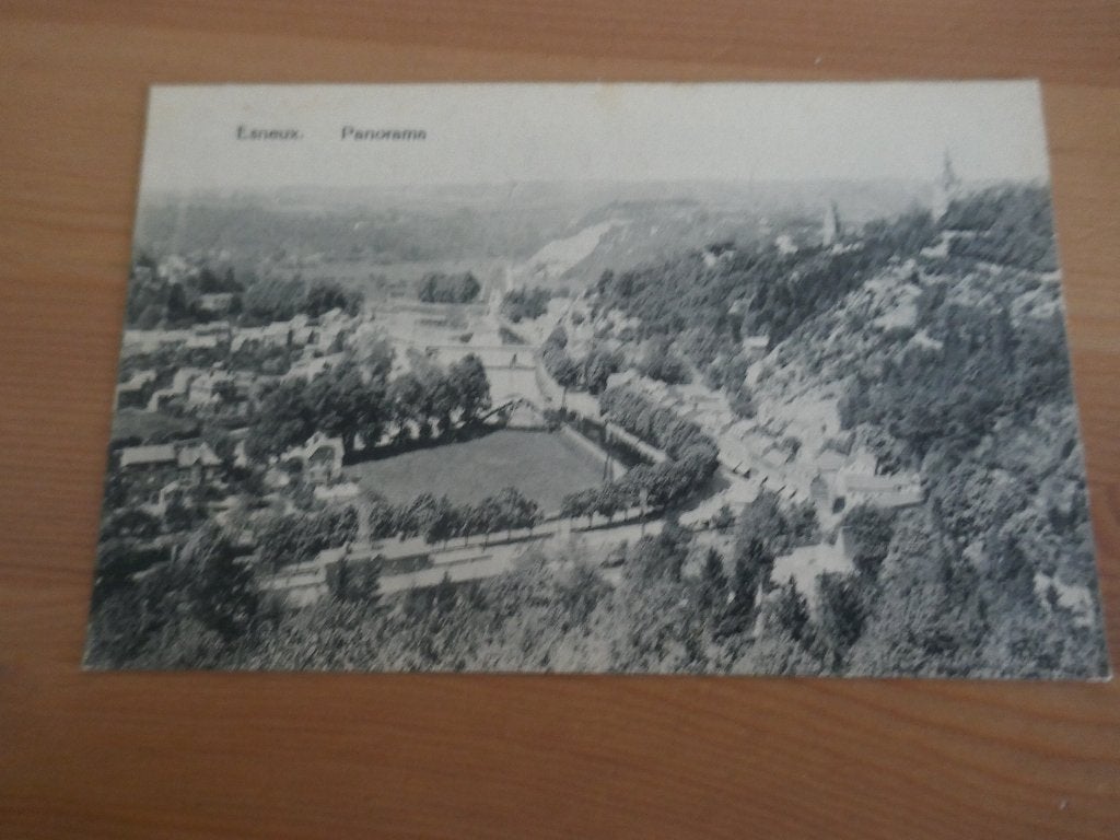 esneux panorama, Ophalen of Verzenden, Gelopen, Luik